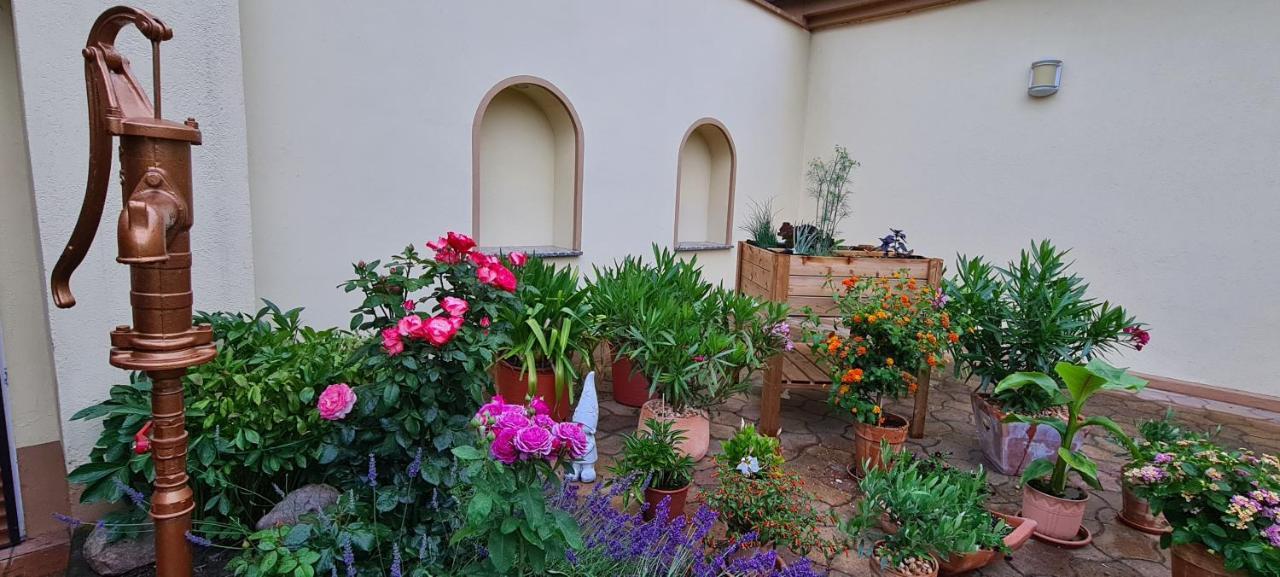 Die Ferienwohnung "Am Kietz" Schwedt Exterior foto